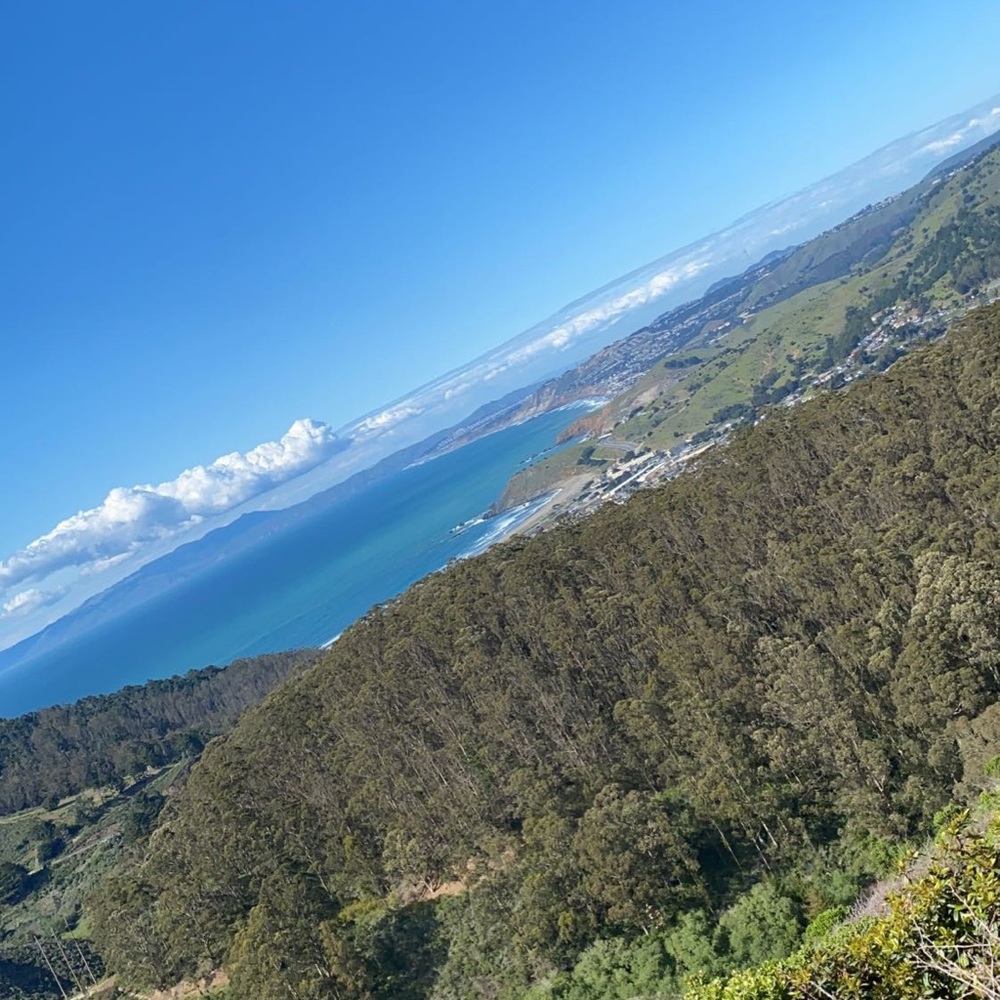 Meet your Posher, Sophia